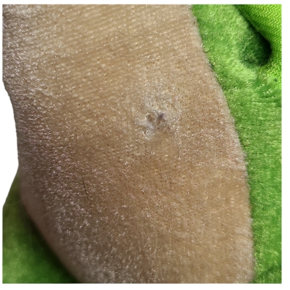 Disney Pixar Toy Story Rex dinosaur beanie plush - Picture 5 of 7